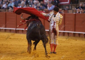 Toros de Santiago Domecq para los toreros José Garrido, David de Miranda y Leo...