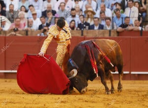 9ª Abono Toros de Domingo Hernández y de Garcigrande