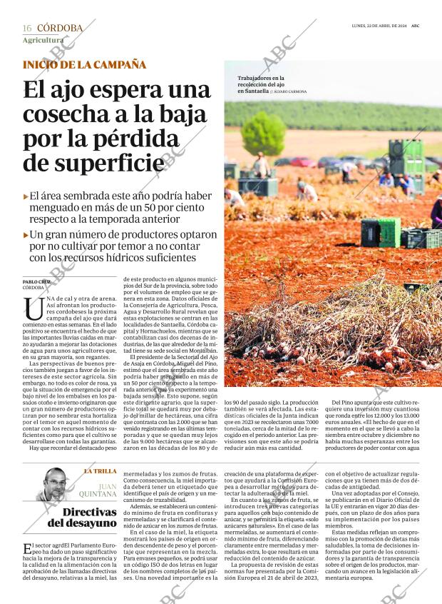 ABC CORDOBA 22-04-2024 página 16