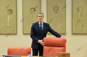 El presidente del PP, Alberto Núñez Feijóo, preside la reunión de los Grupos...