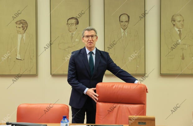 El presidente del PP, Alberto Núñez Feijóo, preside la reunión de los Grupos...