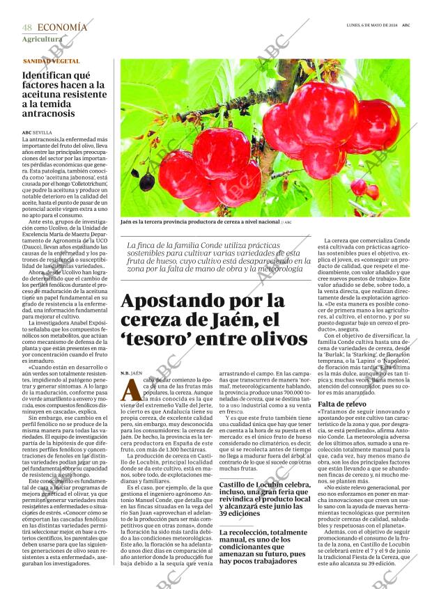 ABC SEVILLA 06-05-2024 página 48