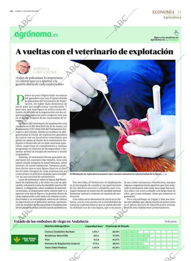 ABC SEVILLA 17-06-2024 página 49