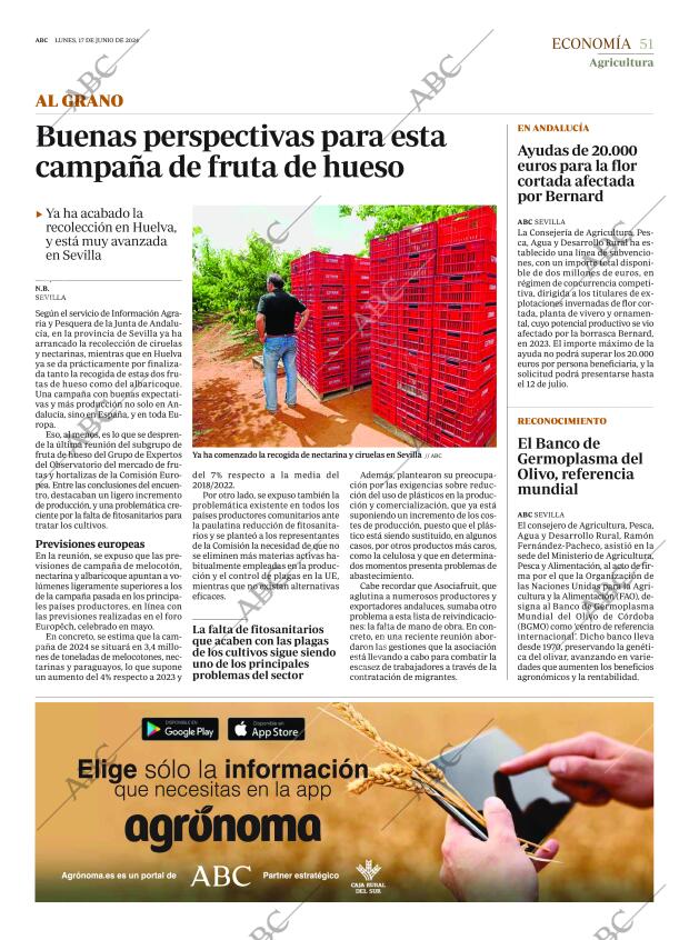 ABC SEVILLA 17-06-2024 página 51