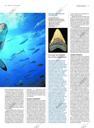 ABC MADRID 21-06-2024 página 11