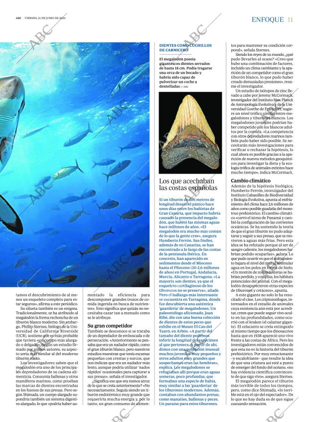 ABC MADRID 21-06-2024 página 11