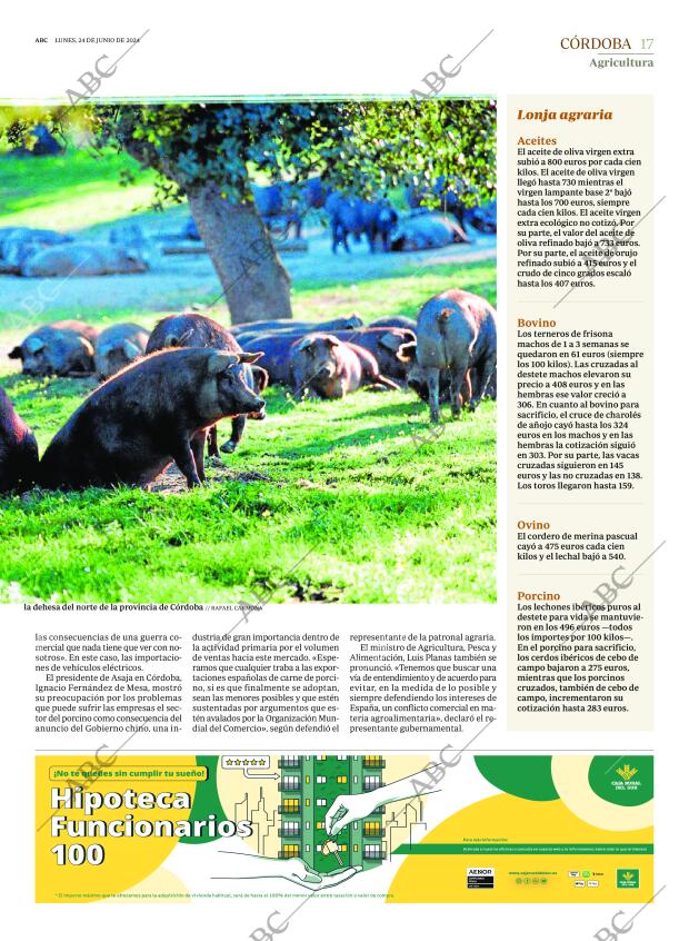ABC CORDOBA 24-06-2024 página 17