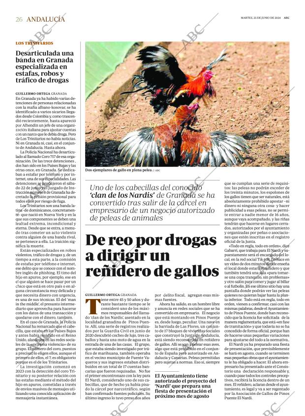 ABC CORDOBA 25-06-2024 página 26