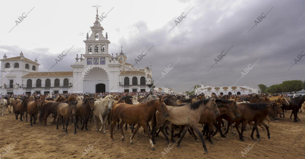 La aldea del Rocío ha acogido el paso de la tropa equina ante el Santuario de la...