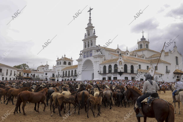 La aldea del Rocío ha acogido el paso de la tropa equina ante el Santuario de la...