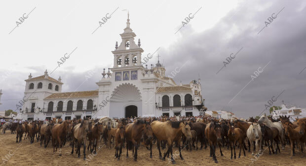 La aldea del Rocío ha acogido el paso de la tropa equina ante el Santuario de la...