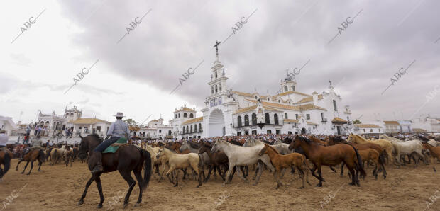 La aldea del Rocío ha acogido el paso de la tropa equina ante el Santuario de la...
