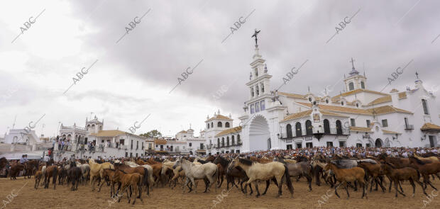 La aldea del Rocío ha acogido el paso de la tropa equina ante el Santuario de la...