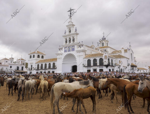 La aldea del Rocío ha acogido el paso de la tropa equina ante el Santuario de la...