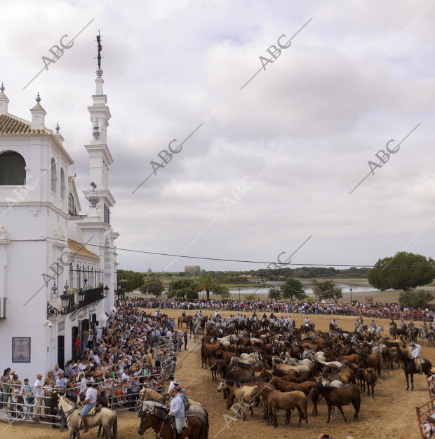 La aldea del Rocío ha acogido el paso de la tropa equina ante el Santuario de la...
