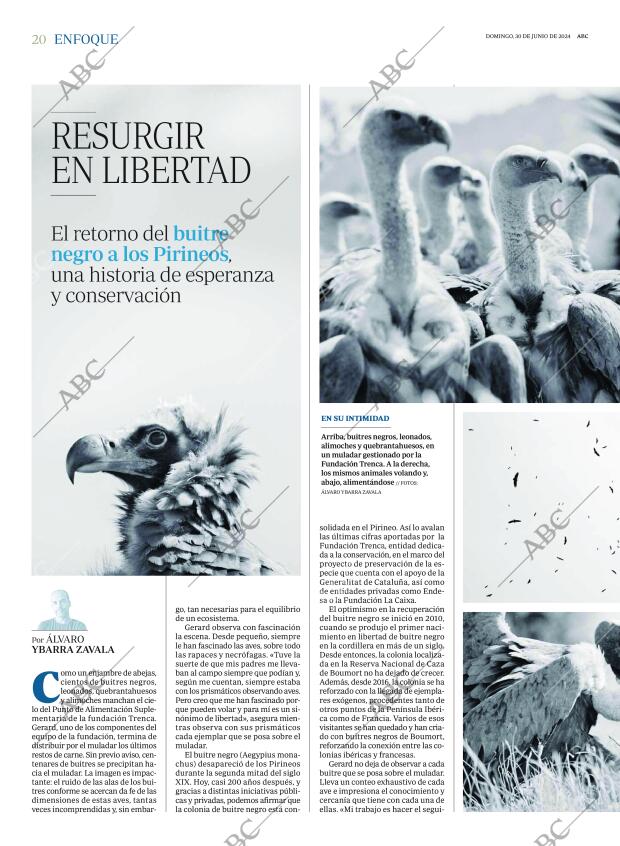 ABC MADRID 30-06-2024 página 20