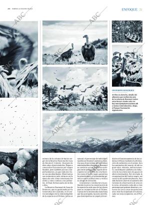 ABC MADRID 30-06-2024 página 21