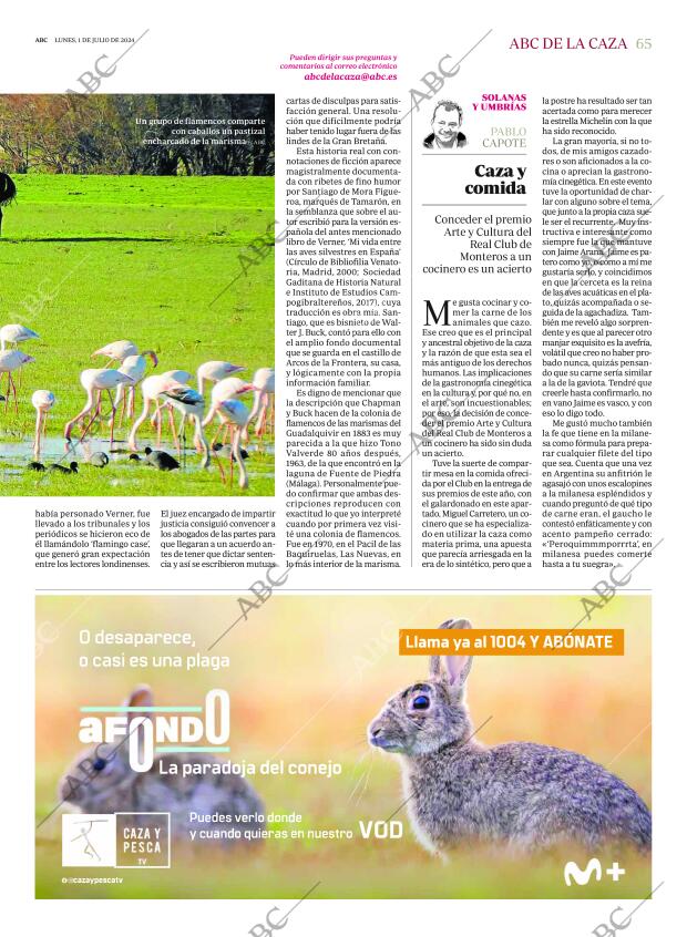 ABC MADRID 01-07-2024 página 65