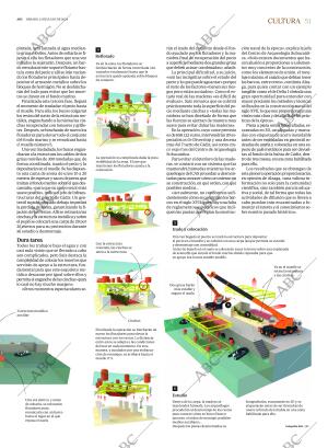 ABC SEVILLA 13-07-2024 página 51