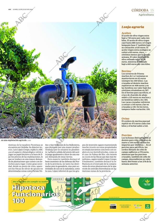 ABC CORDOBA 22-07-2024 página 15