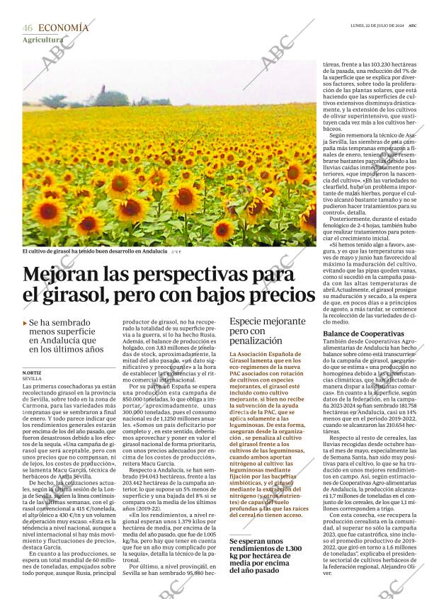 ABC SEVILLA 22-07-2024 página 46