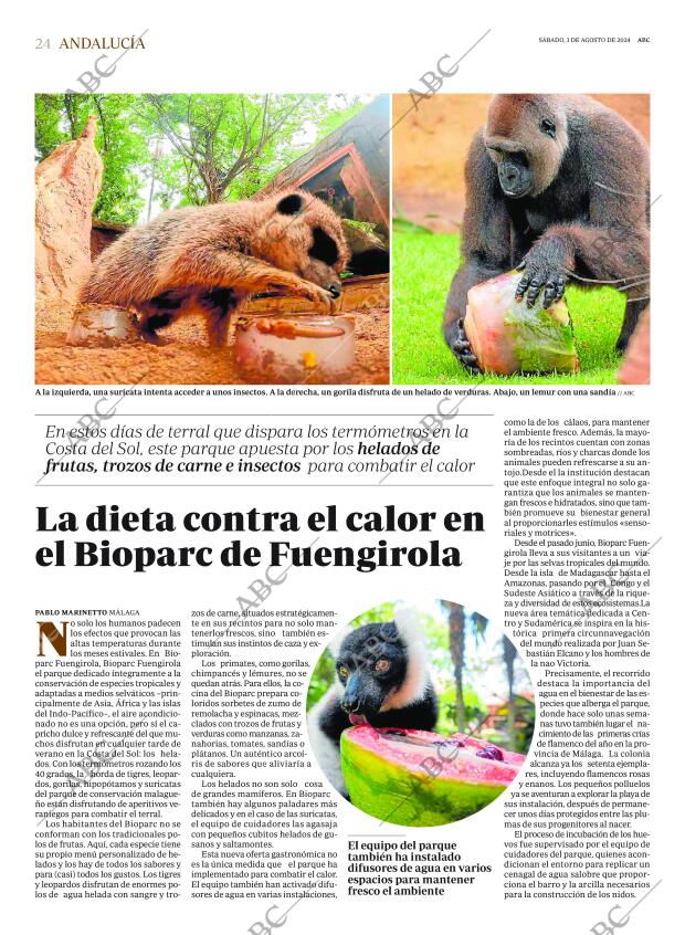ABC SEVILLA 03-08-2024 página 24