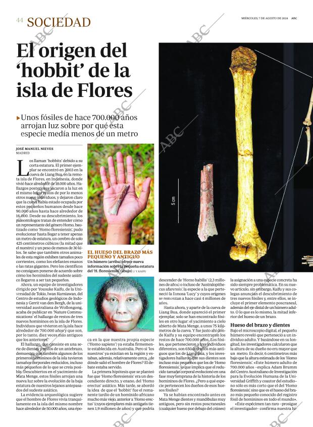 ABC SEVILLA 07-08-2024 página 44