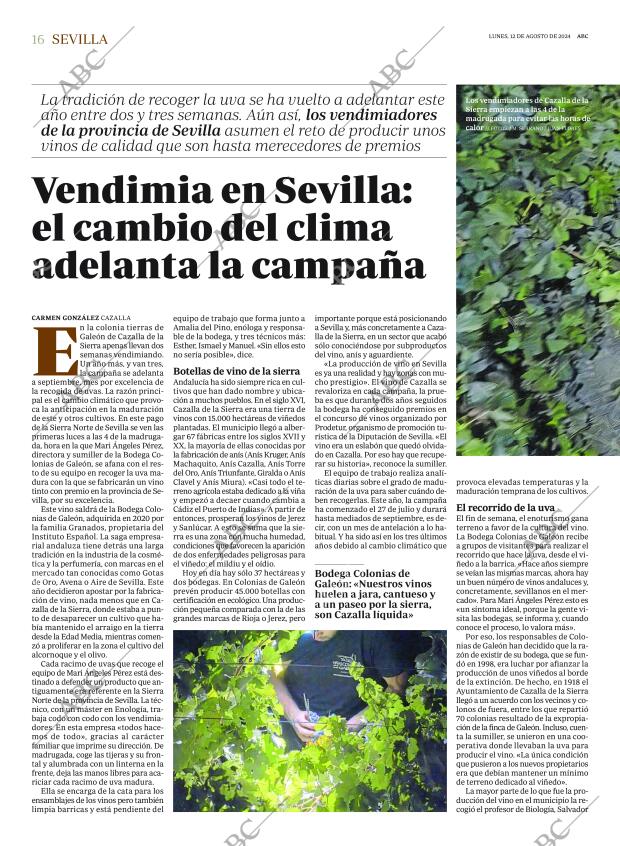 ABC SEVILLA 12-08-2024 página 16