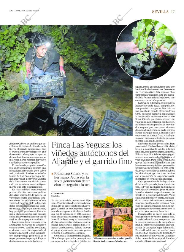ABC SEVILLA 12-08-2024 página 17