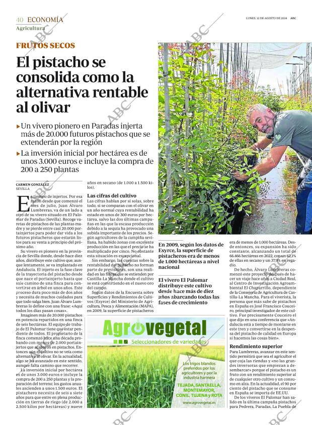 ABC SEVILLA 12-08-2024 página 40