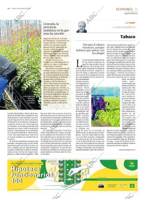 ABC SEVILLA 12-08-2024 página 41