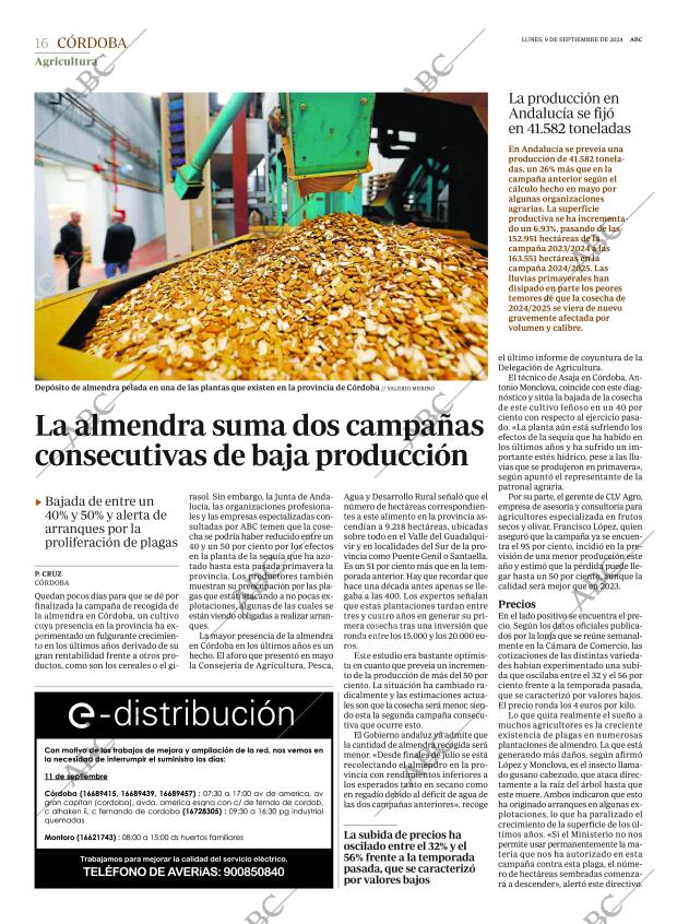 ABC CORDOBA 09-09-2024 página 16