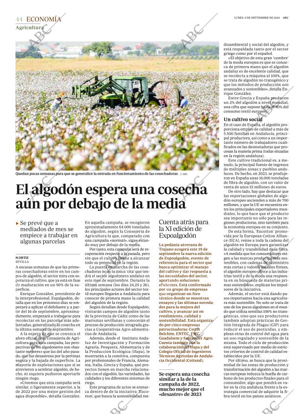 ABC SEVILLA 09-09-2024 página 44