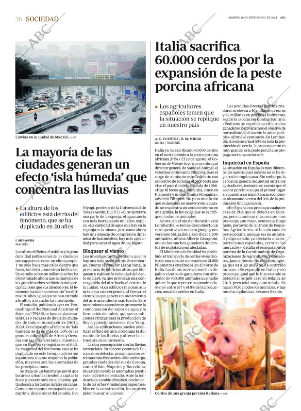 ABC MADRID 10-09-2024 página 36