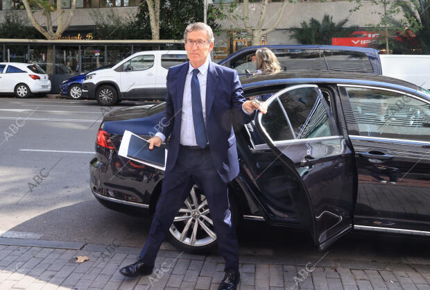 El presidente del PP, Alberto Núñez Feijóo, preside la reunión del Comité...