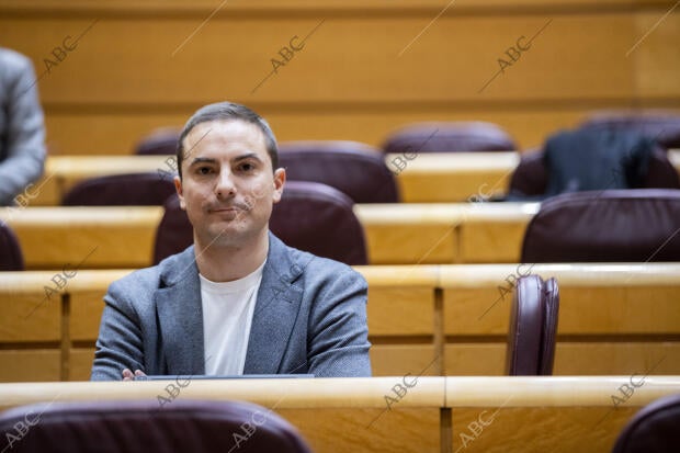 Sesión de control en el Senado