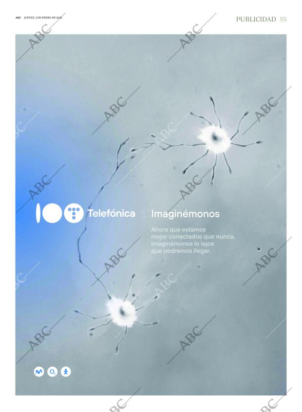 ABC SEVILLA 02-01-2025 página 55