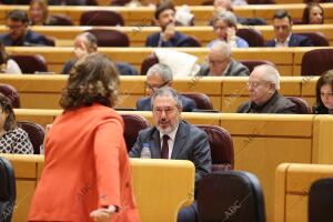 Pleno extraordinario en el Senado en el que se insta al Gobierno a celebrar un...