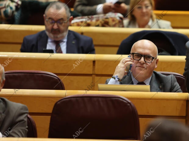 Pleno extraordinario en el Senado en el que se insta al Gobierno a celebrar un...