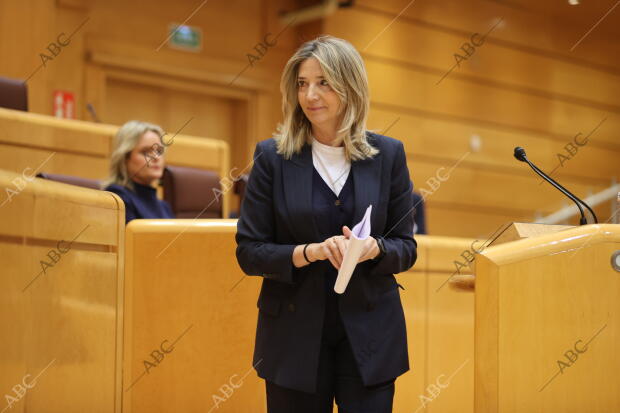 Pleno extraordinario en el Senado en el que se insta al Gobierno a celebrar un...