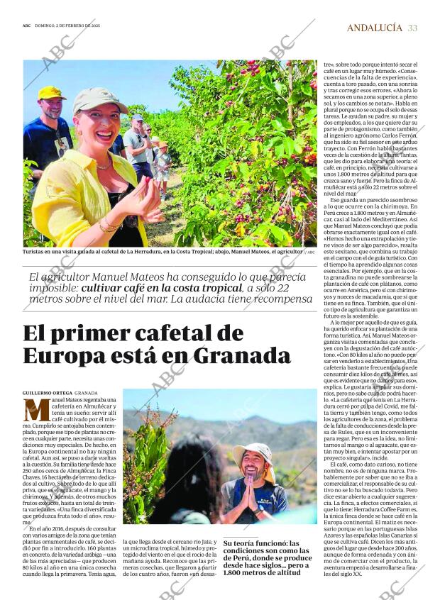 ABC SEVILLA 02-02-2025 página 33