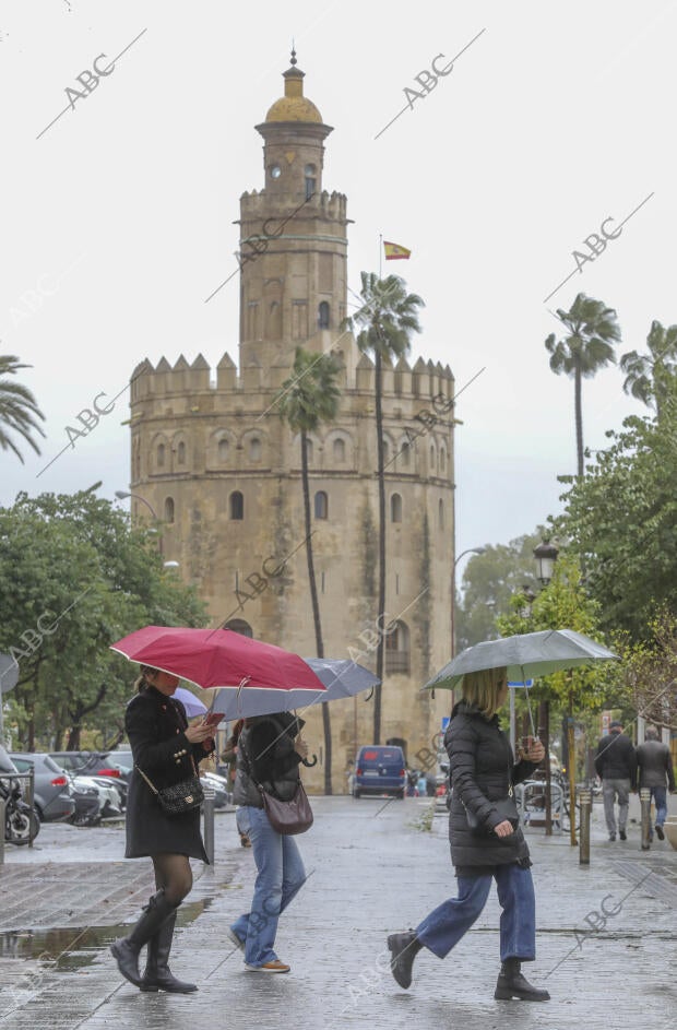 Temporal de aire y lluvia en Sevilla