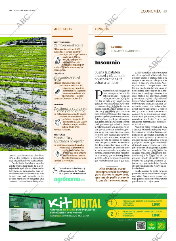 ABC SEVILLA 07-04-2025 página 49