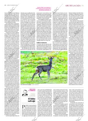 ABC SEVILLA 07-04-2025 página 79