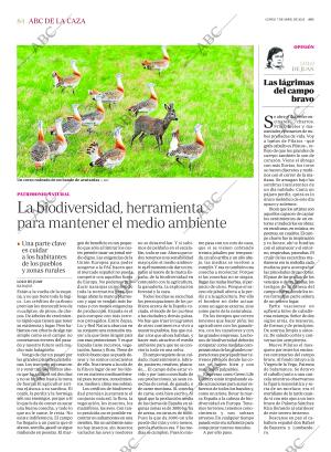 ABC SEVILLA 07-04-2025 página 84