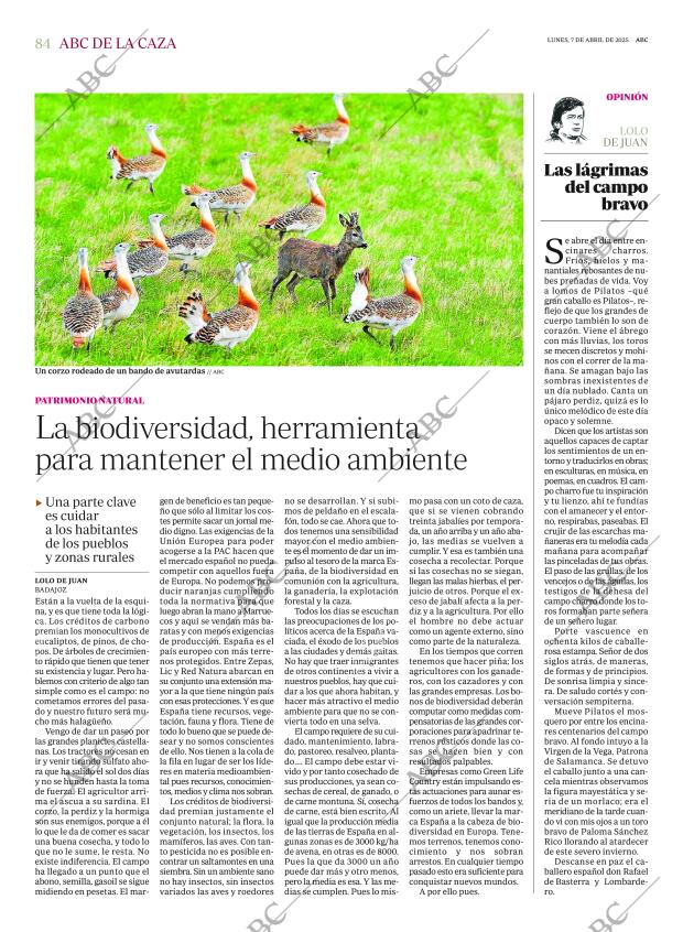 ABC SEVILLA 07-04-2025 página 84