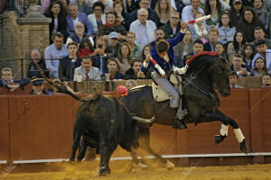 Corrida de toros celebrada en La Maestranza para los rejoneadores Rui Fernándes,...