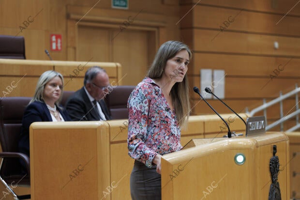 Acuden los ministros, Félix Bolaños, Grande Marlaska, Aagesen, Elma Sainz,...