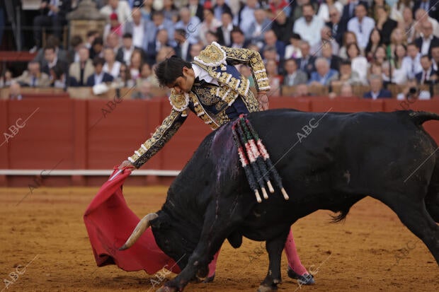 Corrida de toros celebrada en La Maestranza, para los toreros Miguel Ángel...
