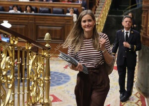 Pleno sesión de control al Gobierno e interpelaciones urgentes